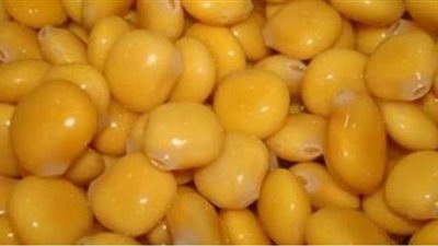 استعدادا لعيد الفطر المبارك.. طريقة عمل الترمس الحلو