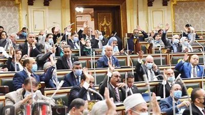 البرلمان يقر فصل الموظف متعاطي المخدرات.. ووزير المجالس النيابية: يحق للموظف طلب العلاج من الإدمان قبل تطبيق القانون