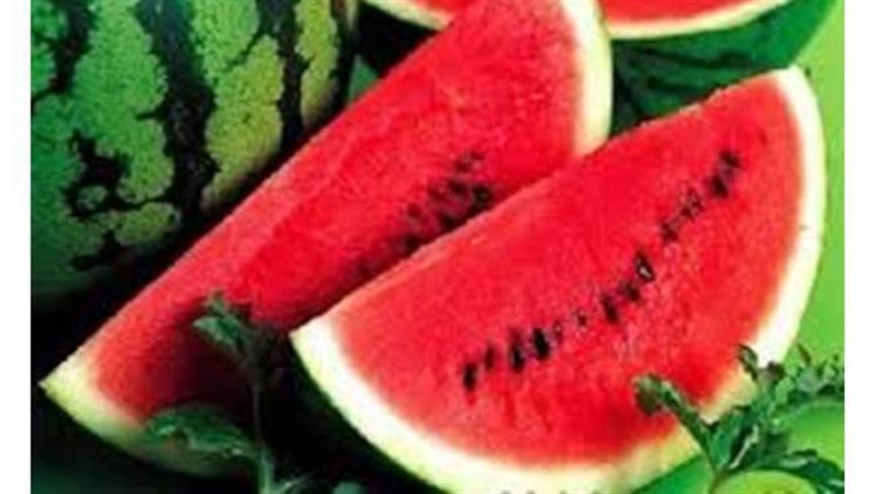 تسمم البطيخ