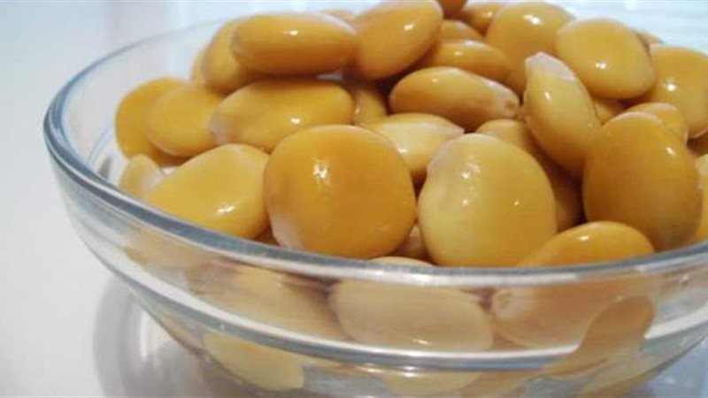 طريقة الترمس السريع