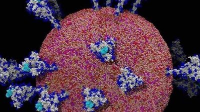 منع الزيارات والالتزام بالإجراءات الاحترازية وفتح المحال طوال الـ 24 ساعة.. أبرز مقترحات النواب لمواجهة كورونا في العيد