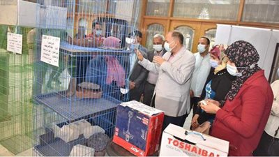 محافظ أسيوط يوزع 20 مشروعا على 25 شابا وفتاة | فيديو