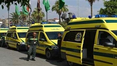 رفع درجة الاستعداد بمستشفيات الدقهلية استعدادا لعيد الفطر