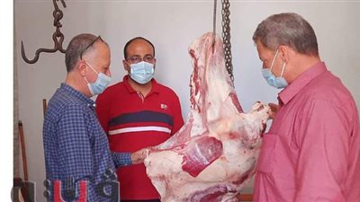 ضبط ١٥٠ كيلو لحوم مذبوحة خارج السلخانة في الدقهلية