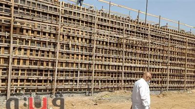 إزالة تعديات على الأراضي الزراعية وصيانة أعمدة الإنارة بـ «فاقوس»