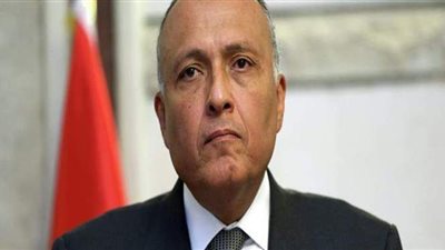 وزير الخارجية يطالب نظيره الإسرائيلي بوقف الاعتداءات على الأراضي الفلسطينية