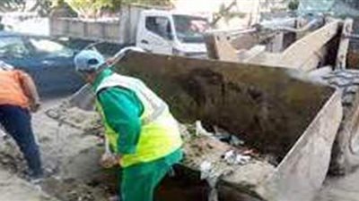 تجريد الأشجار ورفع الأتربة بأول ايام عيد الفطر في الجيزة