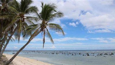 أول دولة تعلن خلوها من كورونا