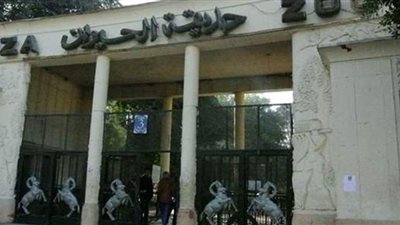 التزام بالإغلاق وحالة وعي بين المواطنين من أمام حديقة الحيوان بالجيزة