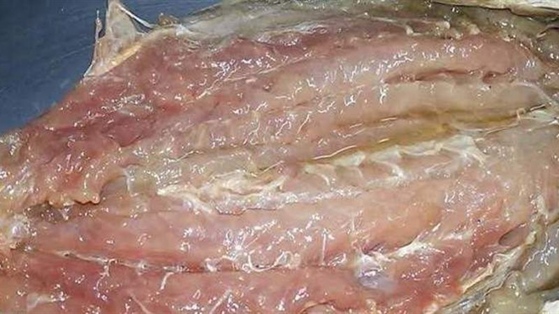 أعراض تسمم الفسيخ