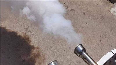 لمنع انتشار الحشرات.. الأمراض المتوطنة بالمنيا تطهر الحدائق والمتنزهات