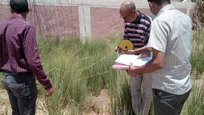 محلي المنيا يسترد ألف متر من أملاك الدولة بصفط الخمار