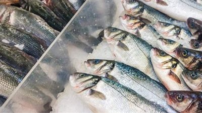 ضبط طن أسماك غير صالح للاستهلاك الآدمي بالمنوفية