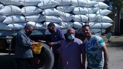 الزراعة تتابع استلام تقاوى المحاصيل الشتوية في 14 محطة على مستوى الجمهورية