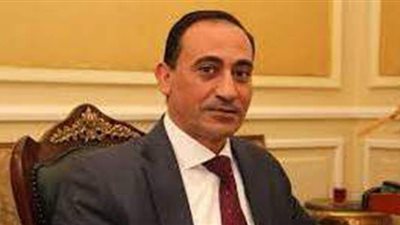 النائب محمد زين الدين: الموقف المصري من الأزمة الفلسطينية 