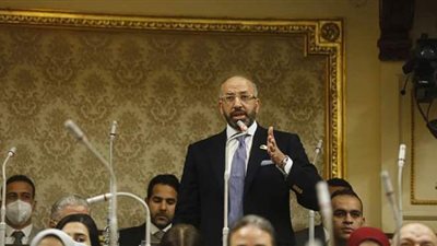 حسام المندوه يشيد بالتحركات المصرية لدعم القضية الفلسطينية