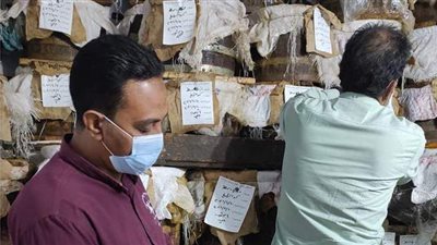 ضبط 1600 كيلو أسماك مملحة غير صالحة للاستهلاك الآدمي في الدقهلية