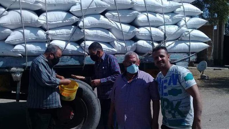 توزيع التقاوي