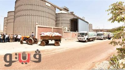 توريد 174 ألف طن قمح إلى شون وصوامع الدقهلية
