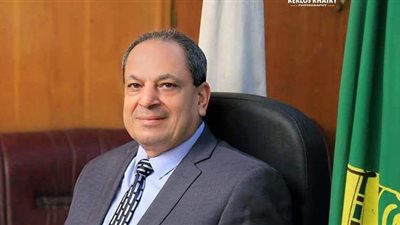 تحرير 406 مخالفات تموينية بالمنيا خلال أيام عيد الفطر