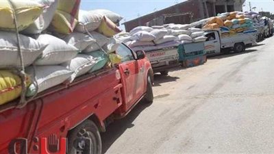 صوامع الشرقية تستقبل 10 آلاف طن قمح