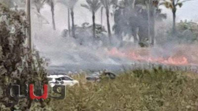السيطرة على حريق بأرض شركة الدواجن في الإسماعيلية | صور