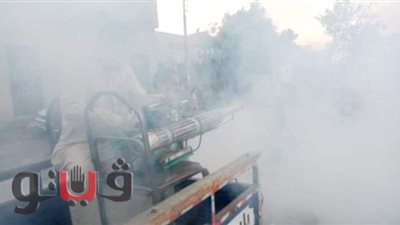 الناموس يهاجم قلها ببني سويف.. وإهناسيا تواجهه بالرش والتطهير