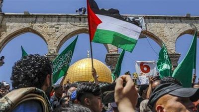 لجنة الإعلام بالشيوخ تطالب العالم بتحمل مسئولياته تجاه الأزمة الفلسطينية