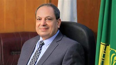 تموين المنيا: توريد 154 ألف طن من محصول القمح بالشون والصوامع