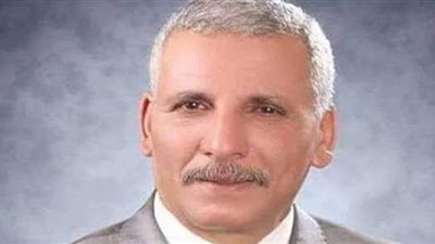 برلماني: قانون الخدمة المدنية حدد ضوابط الترقية والنقل والندب والإعارة