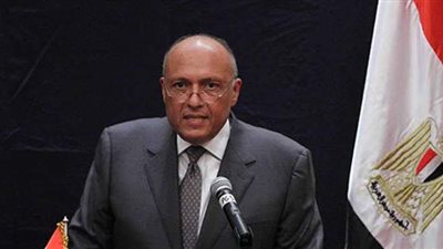 شكري يتلقى اتصالا من نظيره القطري لبحث الأوضاع في فلسطين