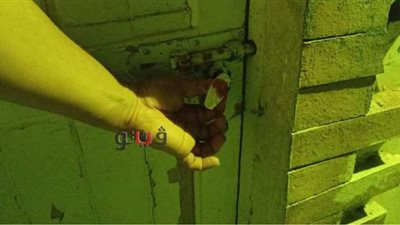 غلق ٣ معارض سيارات غير مرخصة في الإسماعيلية | صور