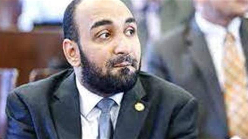 محمود حمدى ابو الخير