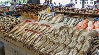 أسعار الأسماك في منافذ التموين