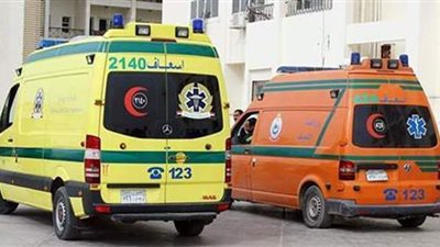 تفاصيل مشاجرة بين شخصين لخلاف على أولوية الجلوس على مقهى بالدقهلية