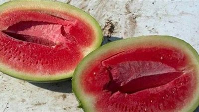 تصريح مثير من عضو بـ