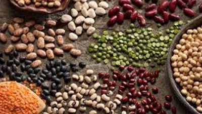 أسعار البقوليات اليوم الثلاثاء 18 -5-2021 في المنيا