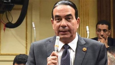 أبو العلا: زيارة الرئيس إلى باريس تضيف مكاسب مهمة لمصر