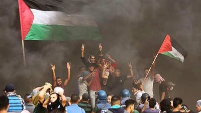 وكالة فرنسية تتحدث عن النفوذ المصري لوقف إطلاق النار بين فلسطين وإسرائيل