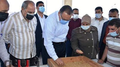 محافظ الشرقية يتفقد صومعة أبو حماد الجديدة بمدينة القرين