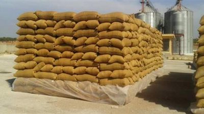 توريد ٨١ ألف طن قمح بصوامع سوهاج