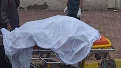 مصرع سباك في حادث تصادم بالدقهلية