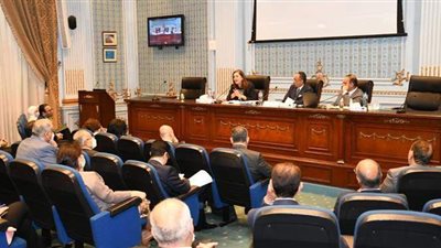 هالة السعيد: خطة العام الجديد حققت الاستحقاقات الدستورية في الصحة والتعليم