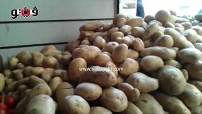 بالفيديو.. أسعار الخضراوات والفاكهة في أسواق الجيزة