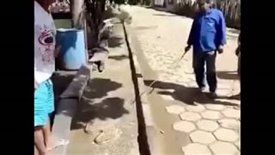 بالفيديو.. رد فعل رجل حاول آخر المزاح معه أثناء الإمساك بثعبان