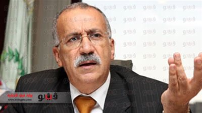 محافظ الدقهلية: تشديد على لجان استفتاء الدستور لمنع توزيع الزيت والسكر