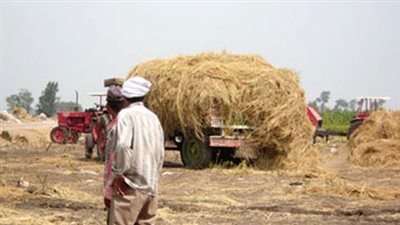 نتائج أعمال منظومة قش الأرز بفرعي البحيرة والشرقية