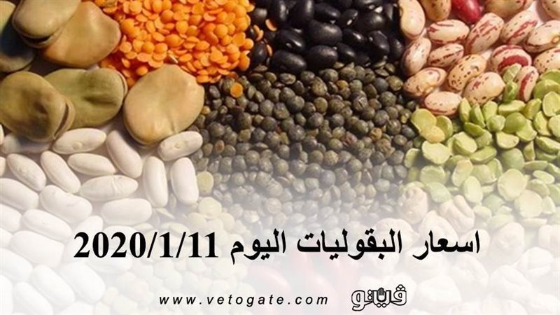 فيتو
