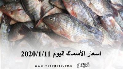 اسعار الأسماك اليوم 2020/1/11