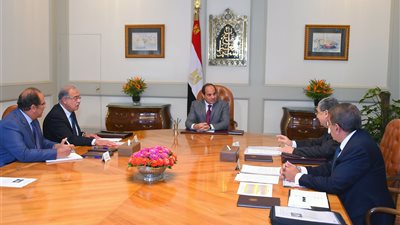 السيسي يطالب بالانتهاء من خطة رفع كفاءة شبكة نقل وتوزيع الكهرباء